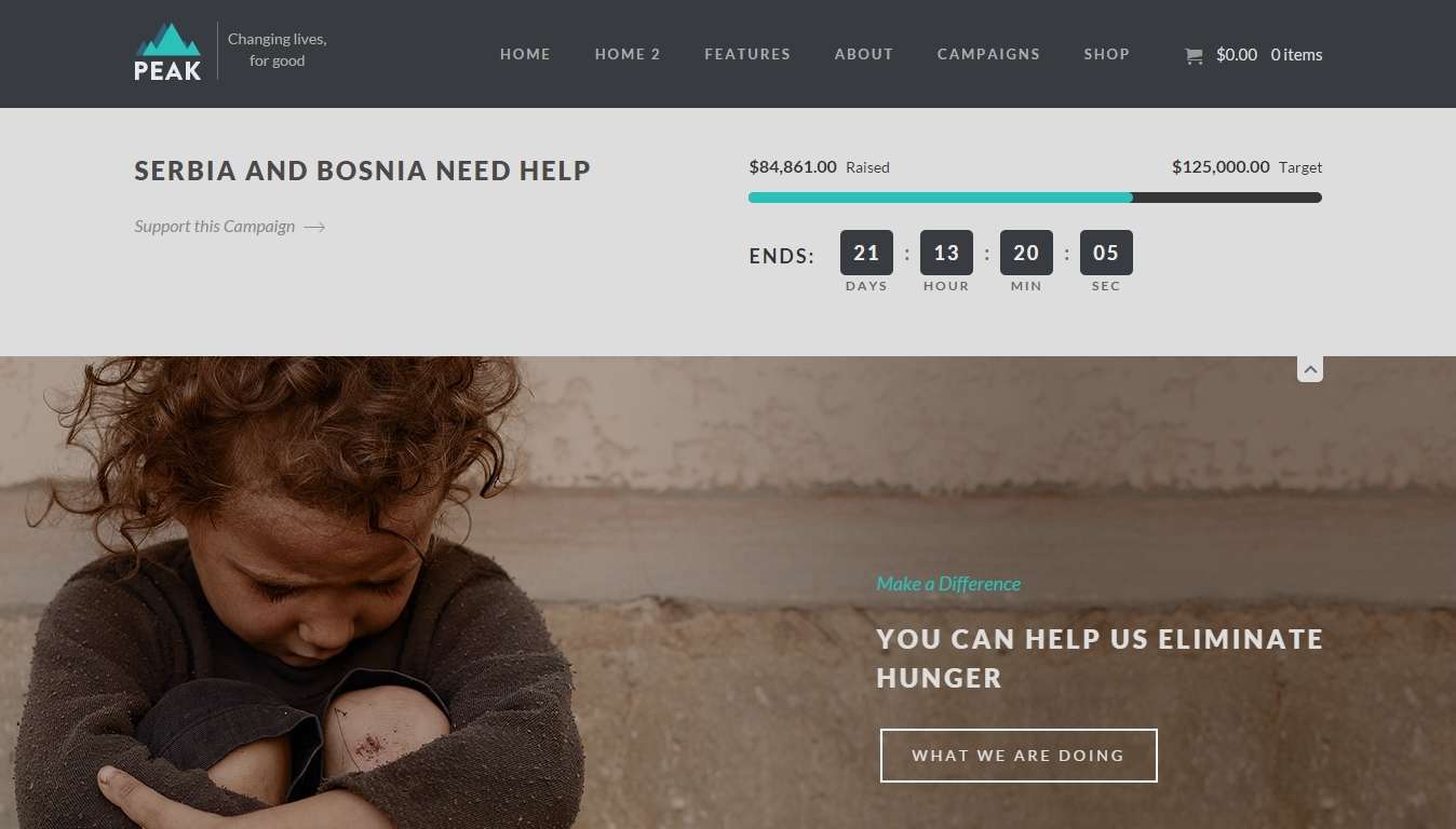 Шаблон WordPress для благотворительного фонда и пожертвований (3)