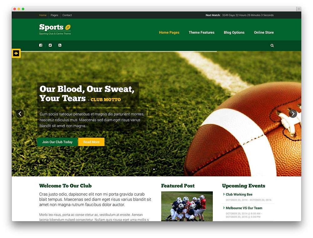 Спортивные сайты на WordPress 2015