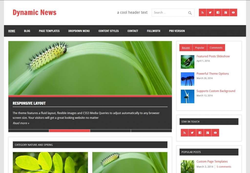 Wordpress шаблоны страниц. Темы wordpress. wordpress шаблоны. wordpress blog page.
