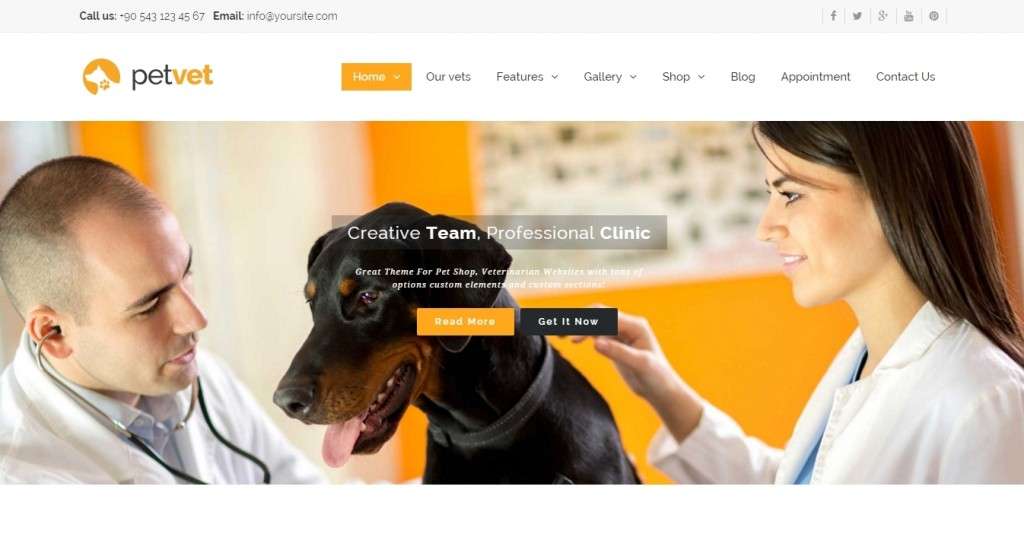 готовый шаблон сайта ветеринарной клиники 2016