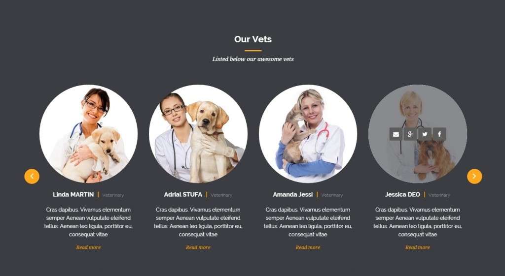 готовый шаблон сайта ветеринарной клиники на WordPress 2016