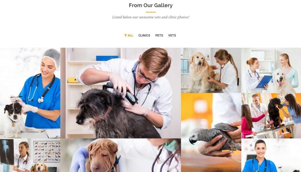 отличный шаблон сайта ветеринарной клиники WordPress 2016