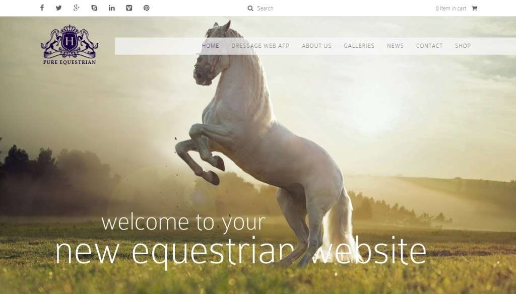 WordPress шаблоны для верховой езды, ипподрома, конного cпорта