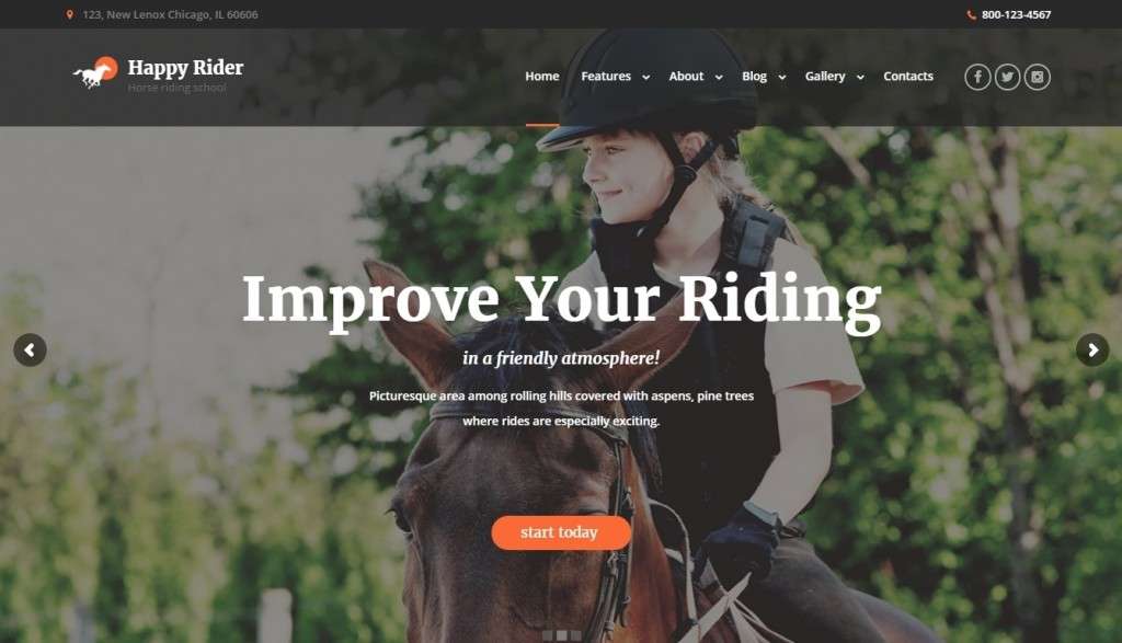 WordPress шаблоны для верховой езды, ипподрома, конного cпорта