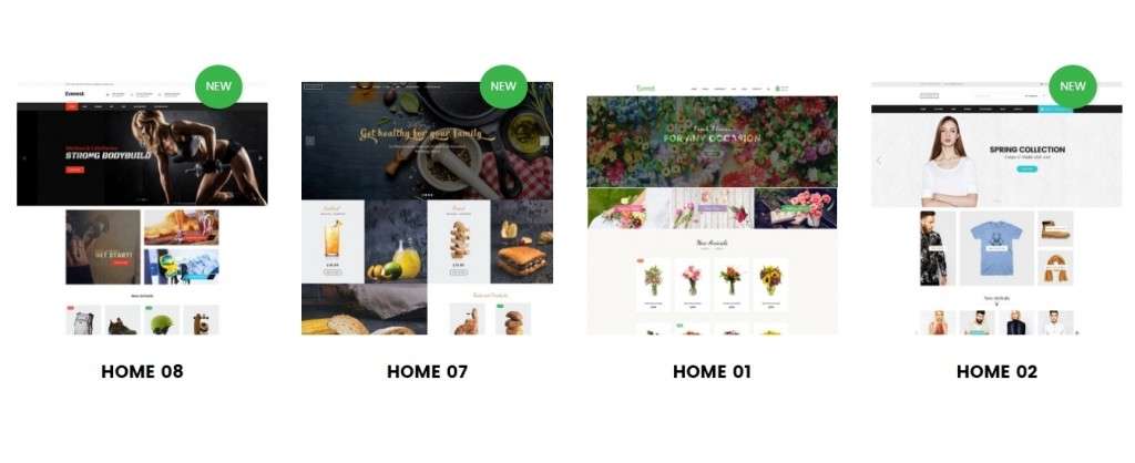 великолепные Shopify шаблоны с премиум дизайном и функциями 2017