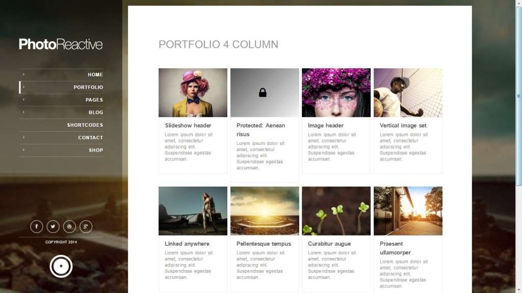 самые лучшие шаблоны фотограф для WordPress - премиум дизайн и функции 2017