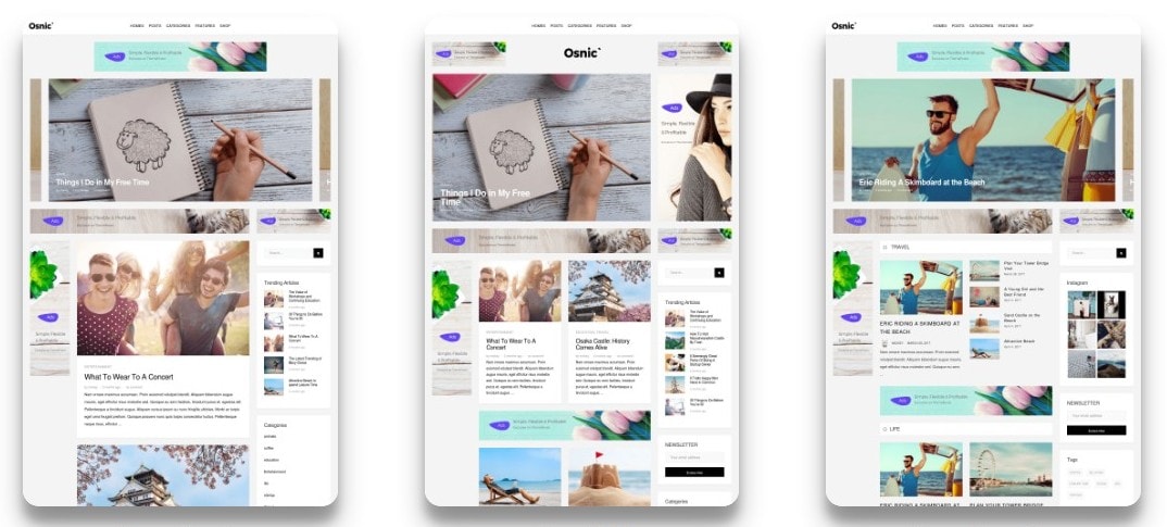 Реклама wordpress