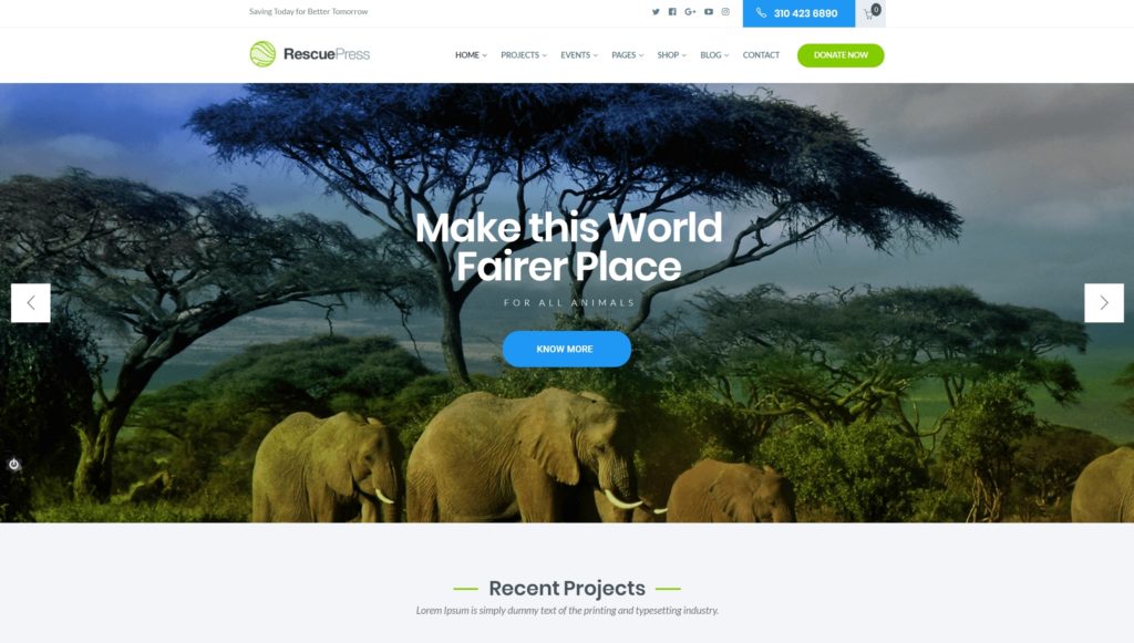 сайт экологической организации на WordPress с функцией сбора средств 04