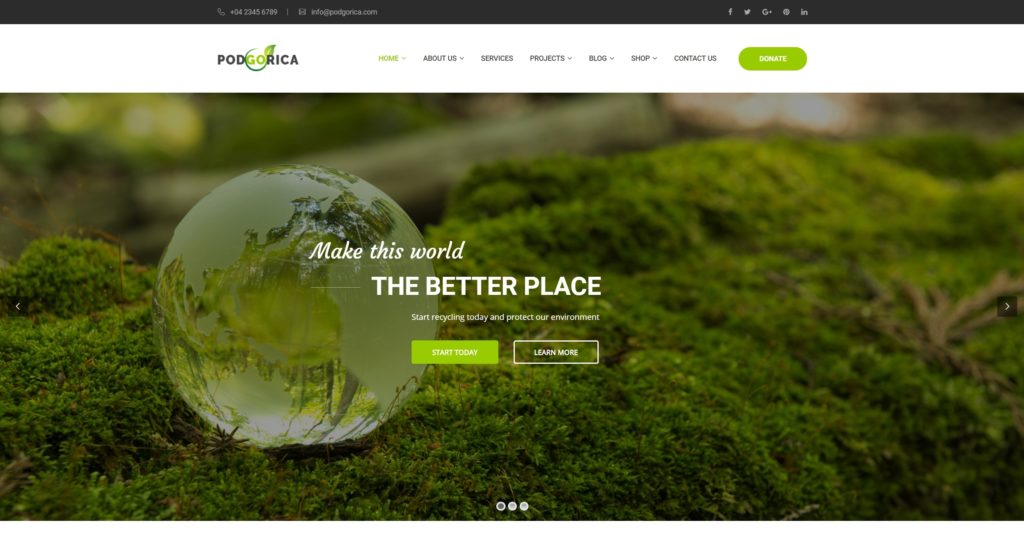 сайт экологической организации на WordPress с функцией сбора средств 06