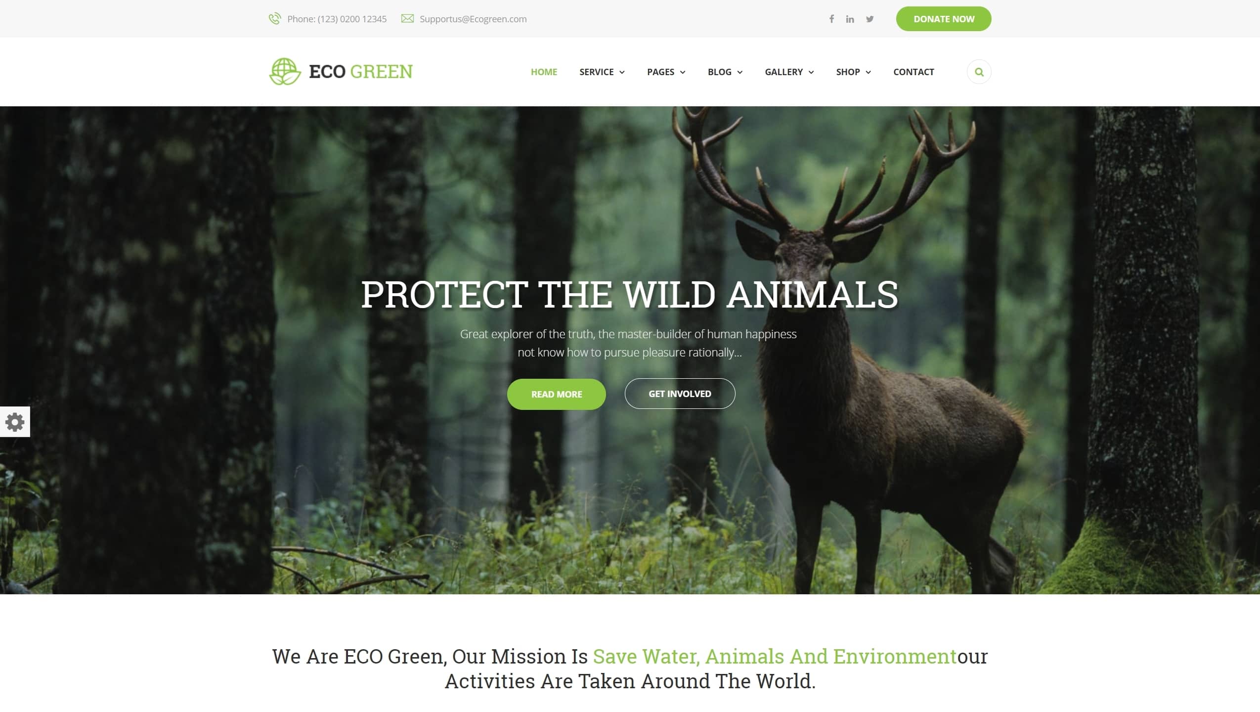 Сайт экологической организации на WordPress с функцией сбора средств