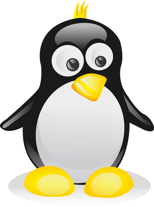 курсы Linux онлайн: от работы с командной строкой до системного администрирования 01